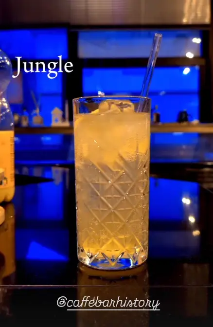 Cocktail Videografie